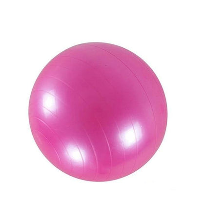 55cm Yoga Exercise Ball