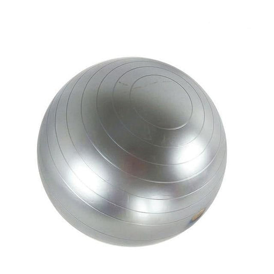 55cm Yoga Exercise Ball