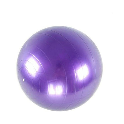65cm Yoga Exercise Ball