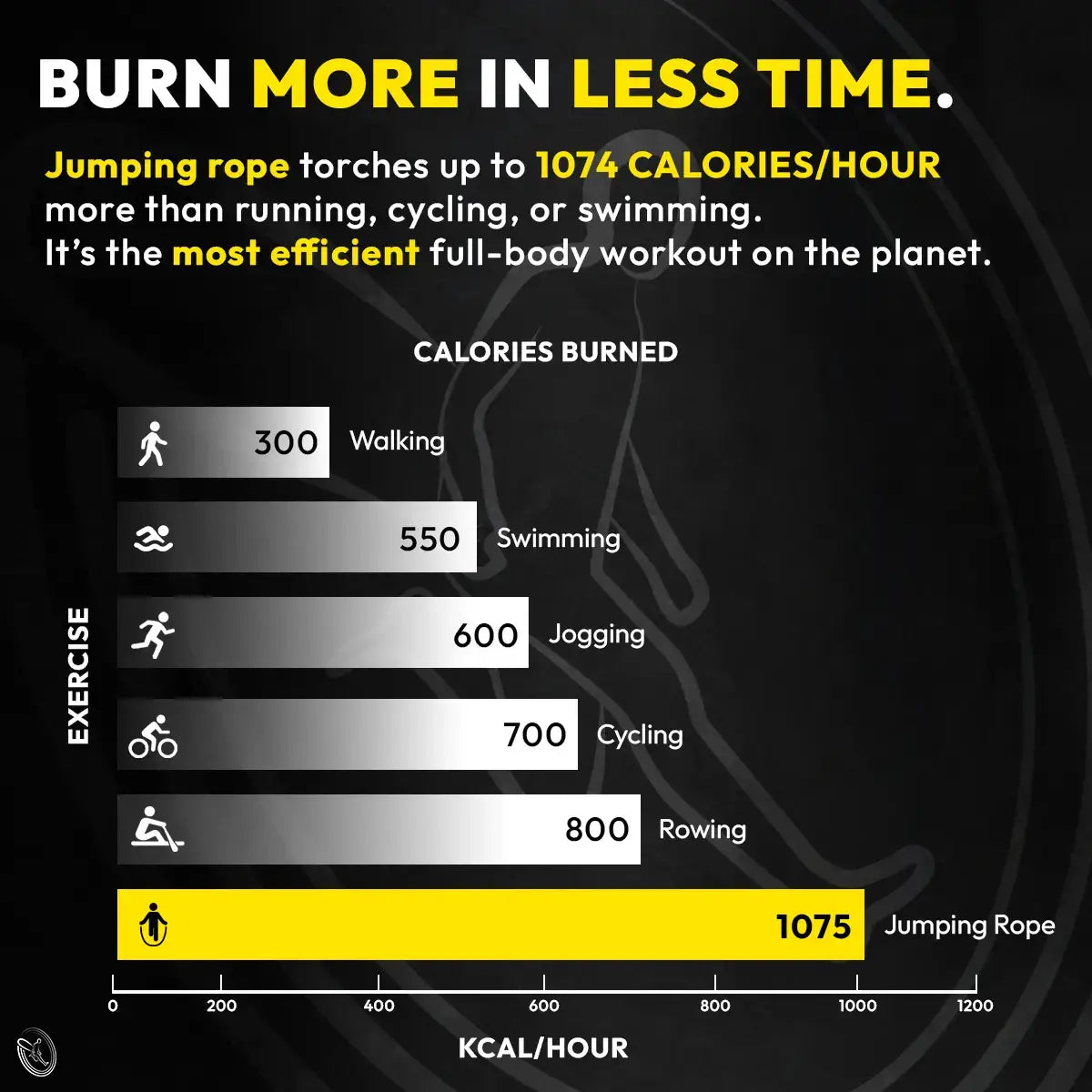 Timeless Jump™ Rope | Airborne 1.0