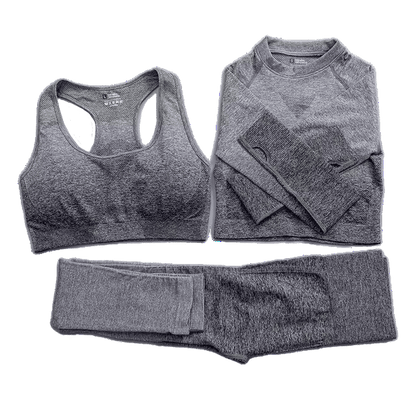 Seamless Ombre Complete Gym Set