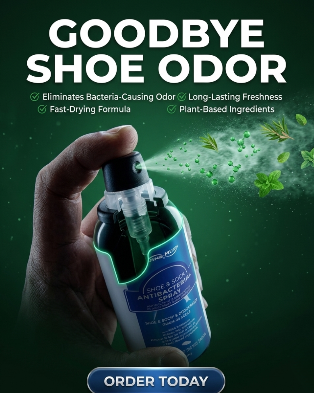 Shoe Deodorizer