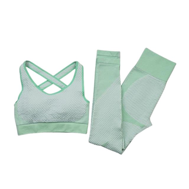 Agility Sports Bra & Leggings Gym Set