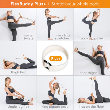 FlexBuddy Plus - The Ultimate Stretching Device