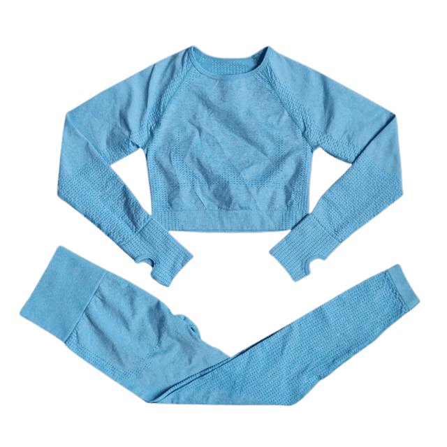 Long-Sleeve Top & Leggings Gym Set
