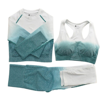 Seamless Ombre Complete Gym Set