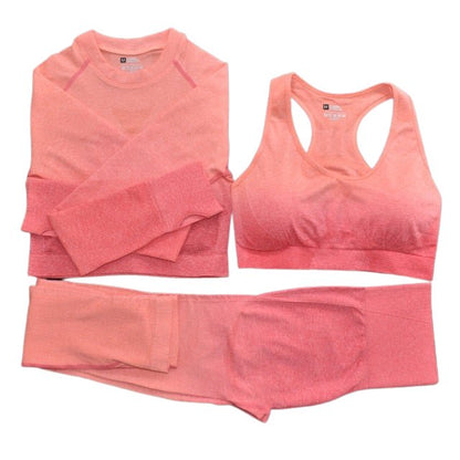 Seamless Ombre Complete Gym Set