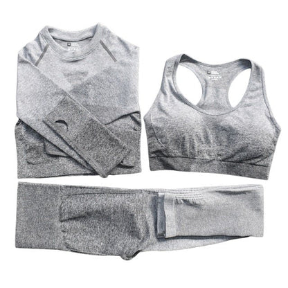 Seamless Ombre Complete Gym Set