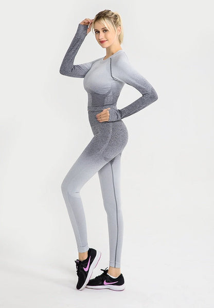 Seamless Ombre Complete Gym Set