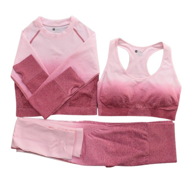 Seamless Ombre Complete Gym Set