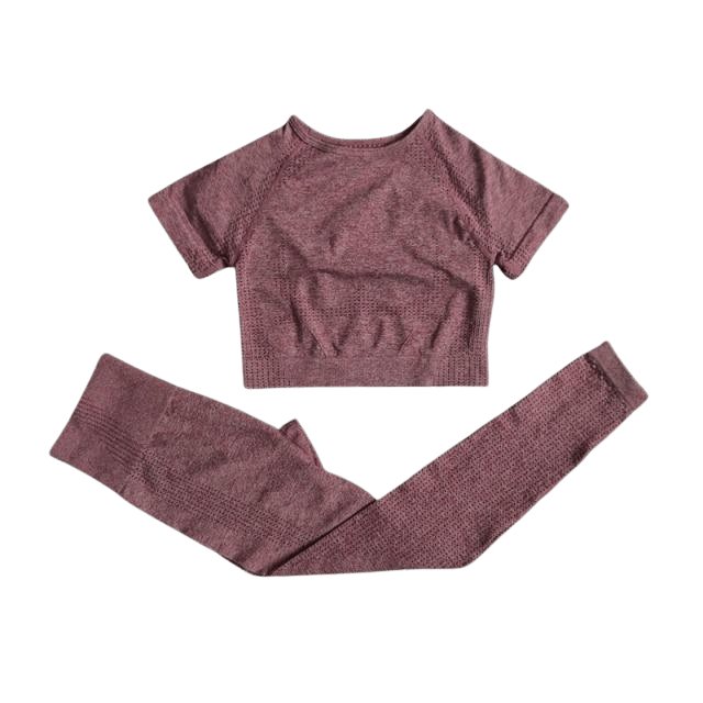 Short Sleeve Top & Leggings Gym Set