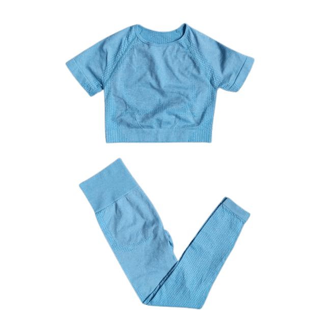 Short Sleeve Top & Leggings Gym Set