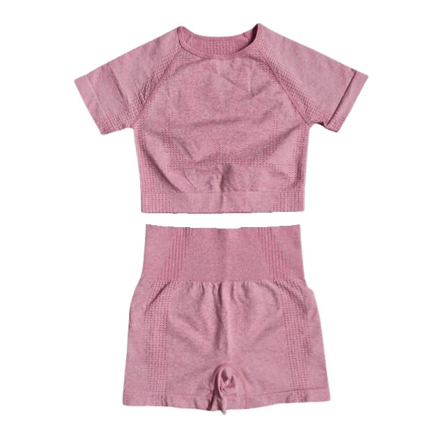 Short Sleeve Top & Shorts Gym Set