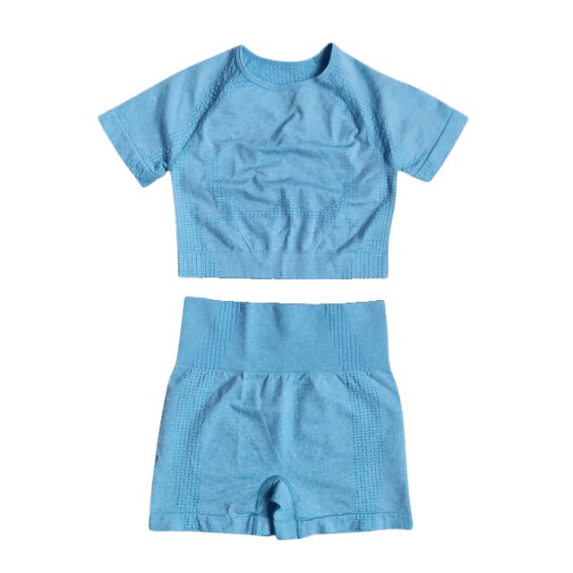 Short Sleeve Top & Shorts Gym Set