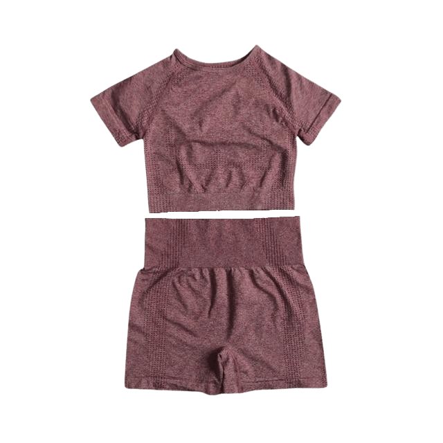 Short Sleeve Top & Shorts Gym Set