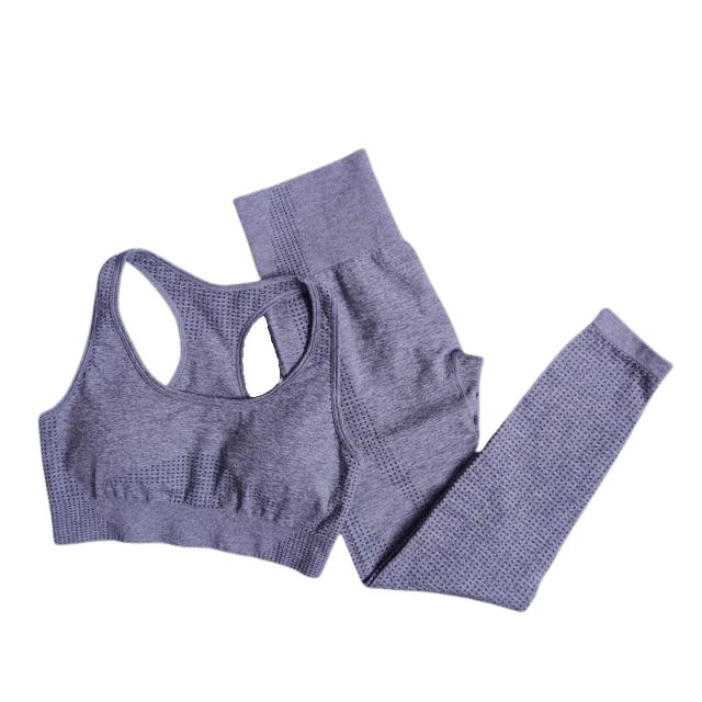 Sports Bra & Leggings Gym Set