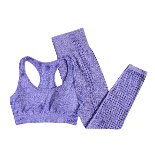 Sports Bra & Leggings Gym Set