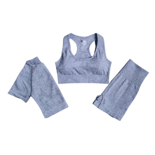 Sports Bra, Short Sleeve Top & Shorts Gym Set