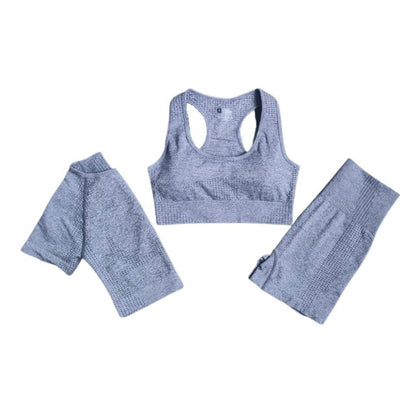 Sports Bra, Short Sleeve Top & Shorts Gym Set