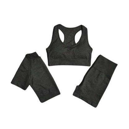 Sports Bra, Short Sleeve Top & Shorts Gym Set
