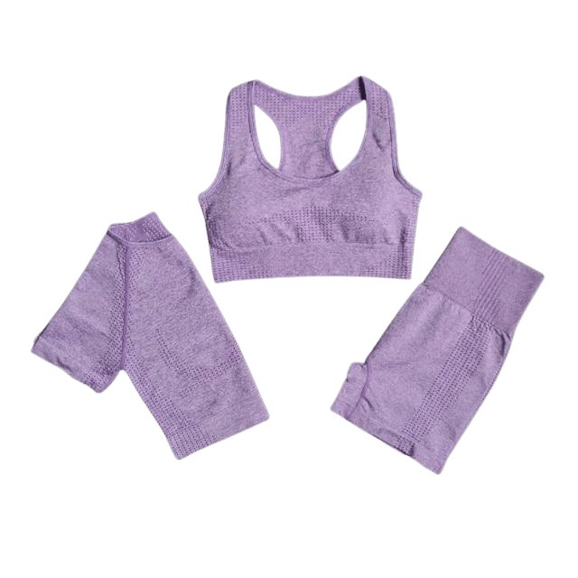 Sports Bra, Short Sleeve Top & Shorts Gym Set