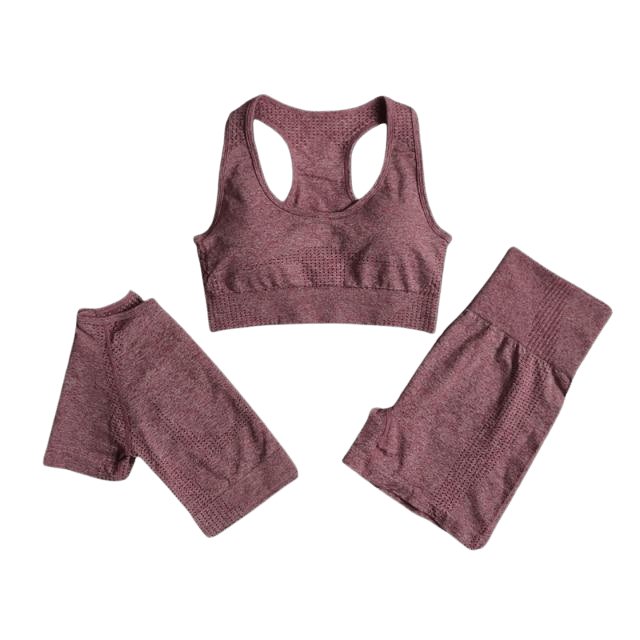 Sports Bra, Short Sleeve Top & Shorts Gym Set