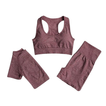 Sports Bra, Short Sleeve Top & Shorts Gym Set