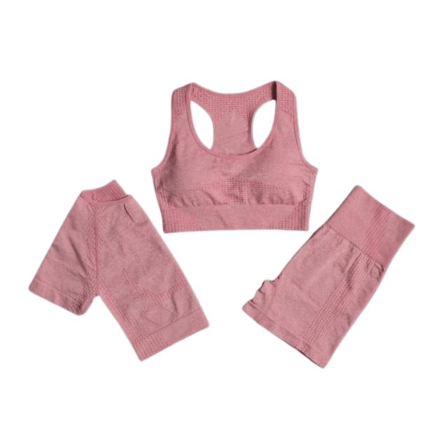 Sports Bra, Short Sleeve Top & Shorts Gym Set