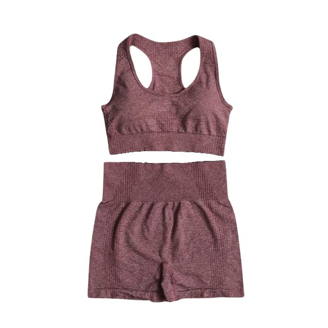 Sports Bra & Shorts Gym Set