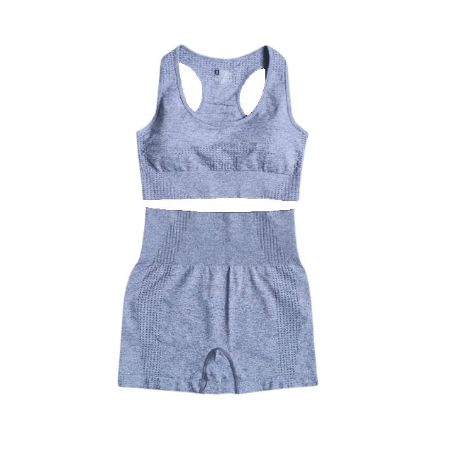 Sports Bra & Shorts Gym Set