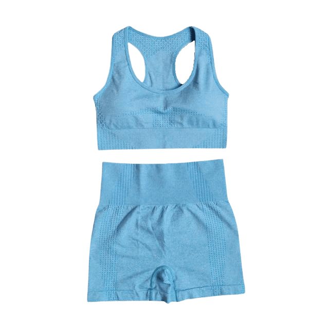 Sports Bra & Shorts Gym Set