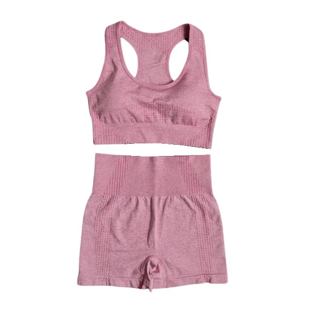 Sports Bra & Shorts Gym Set